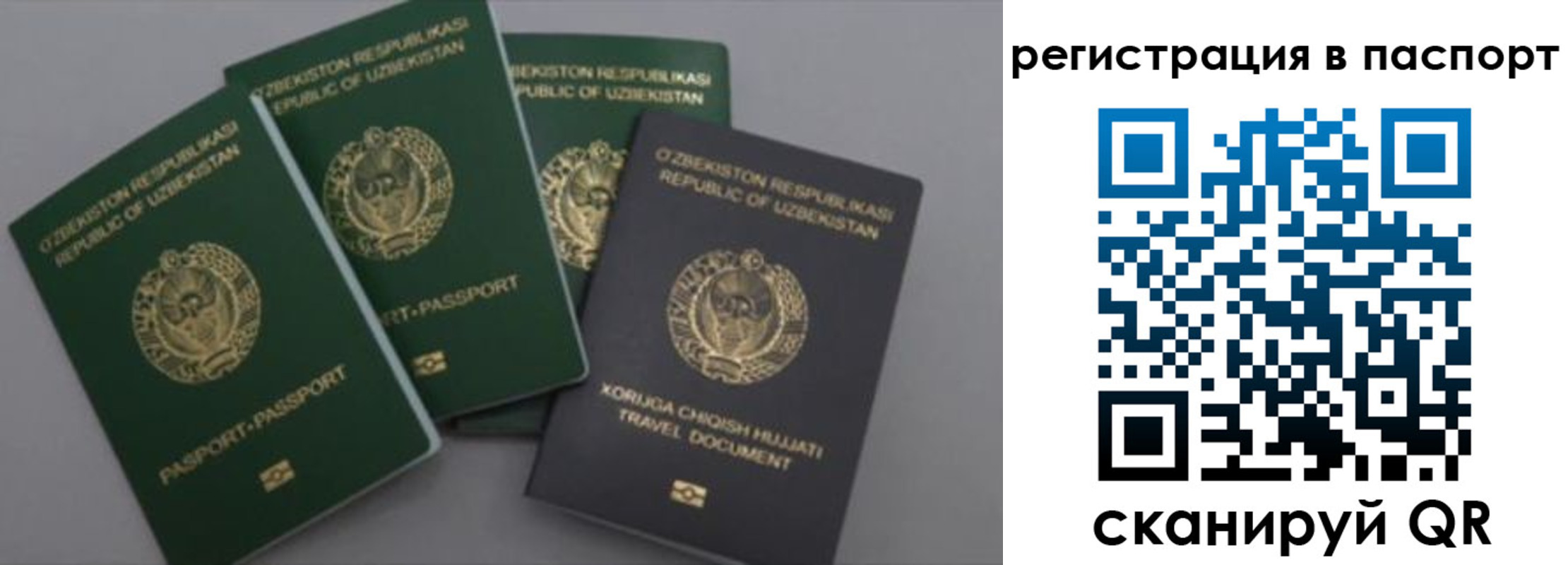 прописка от собственника в Ростовской области